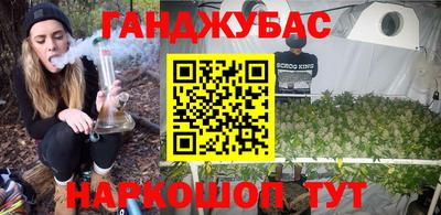 индика Кинель