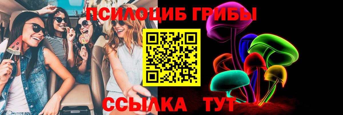 Псилоцибиновые грибы Psilocybe  Галлюциногенные грибы прущие грибы  Нерюнгри  Вход с VPN 